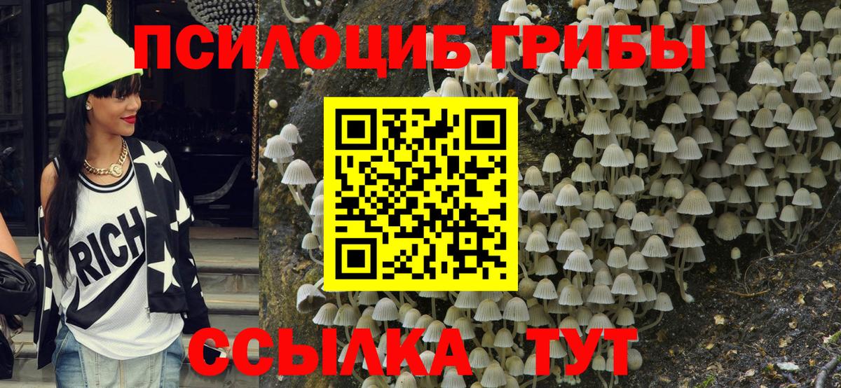 Галлюциногенные грибы мухоморы  Галлюциногенные грибы мицелий  дарнет шоп  Орск  Вход с VPN 