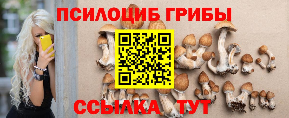 Галлюциногенные грибы Magic Shrooms Орск
